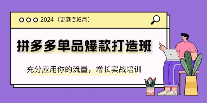 （11556期）2024拼多多-单品爆款打造班(更新6月)，充分应用你的流量，增长实战培训-网创资源站