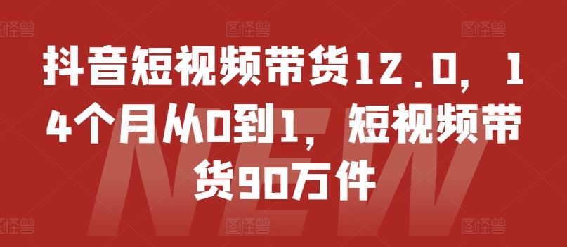 抖音短视频带货12.0，14个月从0到1，短视频带货90万件-网创资源站