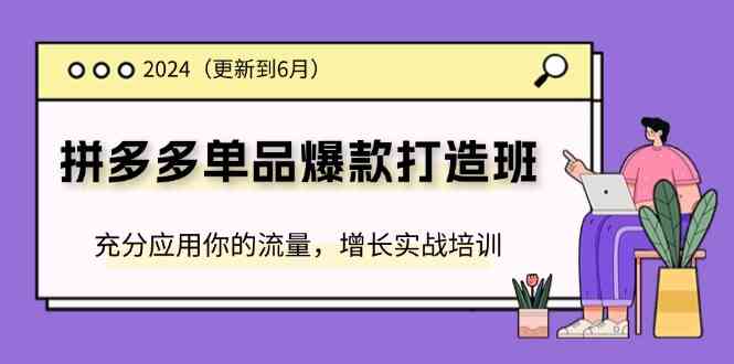 2024拼多多单品爆款打造班，充分应用你的流量，增长实战培训(更新6月)-网创资源站