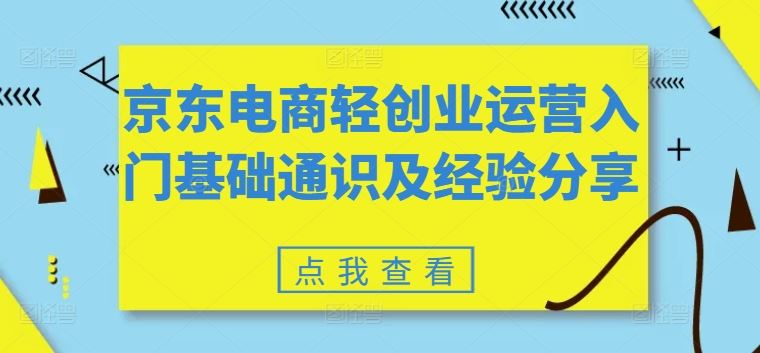 京东电商轻创业运营入门基础通识及经验分享-网创资源站