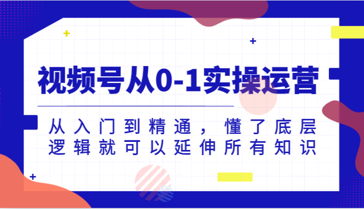 视频号从0-1实操运营，从入门到精通，懂了底层逻辑就可以延伸所有知识（更新2024.7）-网创资源站