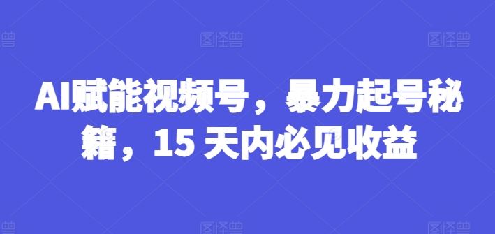 AI赋能视频号，暴力起号秘籍，15 天内必见收益【揭秘】-网创资源站