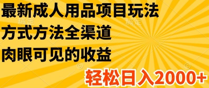 最新成人用品项目玩法，方式方法全渠道，轻松日入2K+【揭秘】-网创资源站