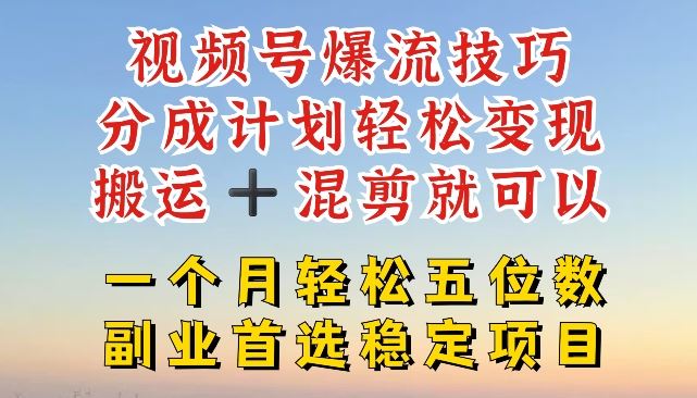 视频号爆流技巧，分成计划轻松变现，搬运 +混剪就可以，一个月轻松五位数稳定项目【揭秘】-网创资源站