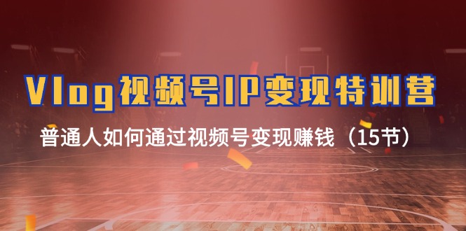 Vlog视频号IP变现特训营，普通人如何通过视频号变现赚钱（15节）-网创资源站