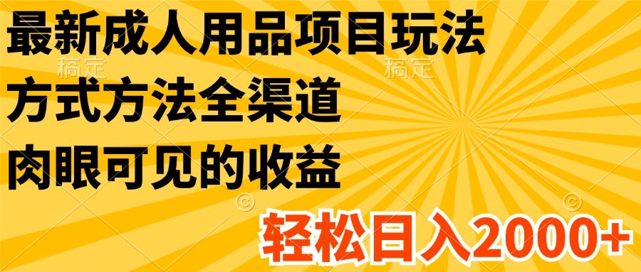 最新成人用品项目玩法，方式方法全渠道，肉眼可见的收益，轻松日入2000+-网创资源站