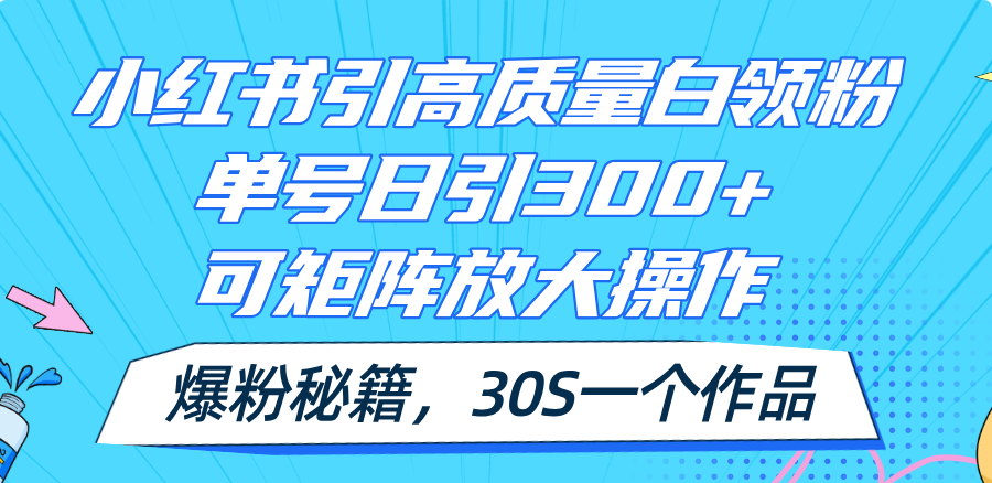 （11692期）小红书引高质量白领粉，单号日引300+，可放大操作，爆粉秘籍！30s一个作品-网创资源站