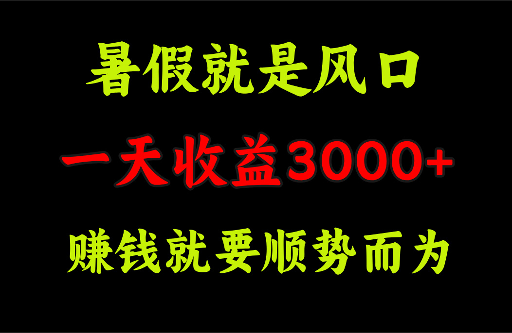 （11670期）一天收益3000+ 赚钱就是顺势而为，暑假就是风口-网创资源站