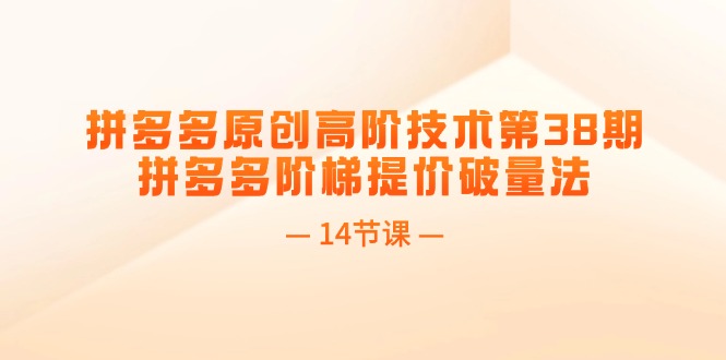 （11704期）拼多多原创高阶技术第38期，拼多多阶梯提价破量法（14节课）-网创资源站