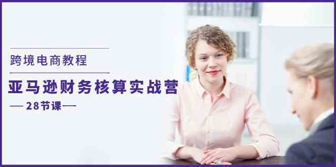 跨境电商教程：亚马逊财务核算实战营（28节课）-网创资源站