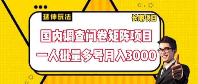 国内调查问卷矩阵项目，一人批量多号月入3000【揭秘】-网创资源站