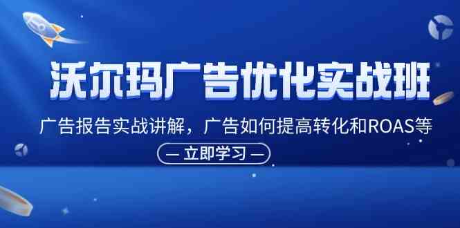 沃尔玛广告优化实战班，广告报告实战讲解，广告如何提高转化和ROAS等-网创资源站