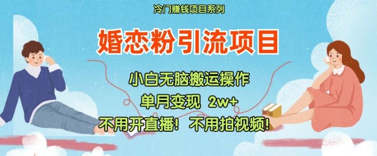 小红书婚恋粉引流，不用开直播，不用拍视频，不用做交付【揭秘】-网创资源站