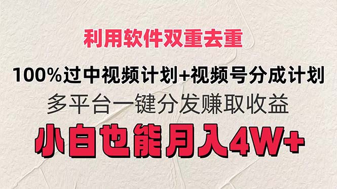 （11862期）利用软件双重去重，100%过中视频+视频号分成计划小白也可以月入4W+-网创资源站