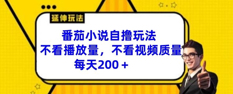 番茄小说自撸玩法，不看播放量，不看视频质量，每天200+【揭秘】-网创资源站
