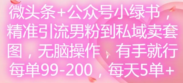 微头条+公众号小绿书，精准引流男粉到私域卖套图，无脑操作，有手就行，每单99-200，每天5单-网创资源站