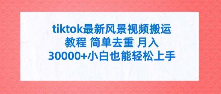 tiktok最新风景视频搬运教程 简单去重 月入3W+小白也能轻松上手【揭秘】-网创资源站