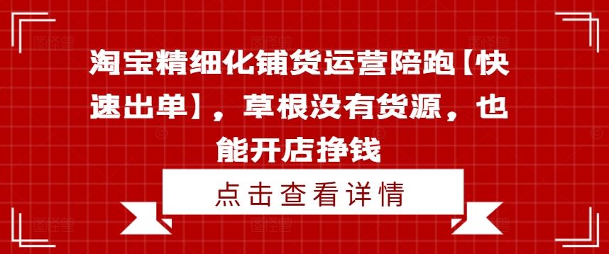 淘宝精细化铺货运营陪跑【快速出单】，草根没有货源，也能开店挣钱-网创资源站