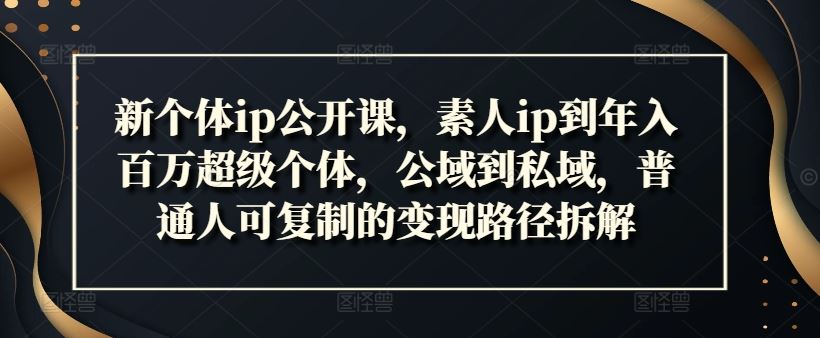 新个体ip公开课，素人ip到年入百万超级个体，公域到私域，普通人可复制的变现路径拆解-网创资源站