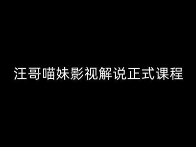 汪哥影视解说正式课程：剪映/PR教学/视解说剪辑5大黄金法则/全流程剪辑7把利器等等-网创资源站