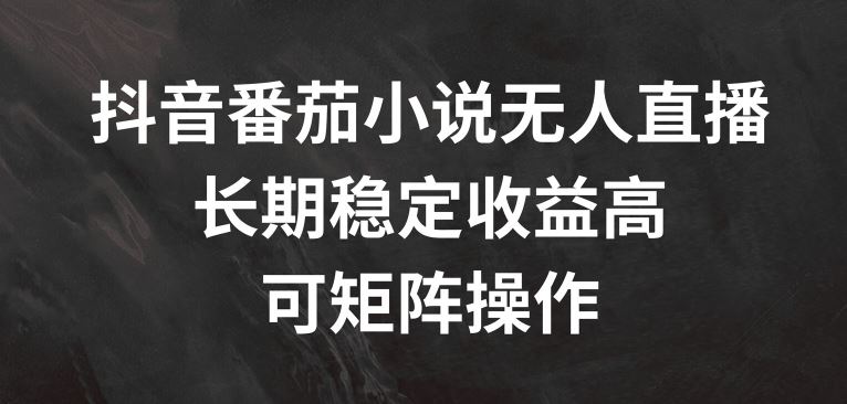 抖音番茄小说无人直播，长期稳定收益高，可矩阵操作【揭秘】-网创资源站