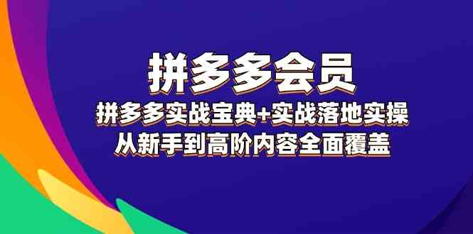 拼多多会员实战宝典+实战落地实操，从新手到高阶内容全面覆盖-网创资源站