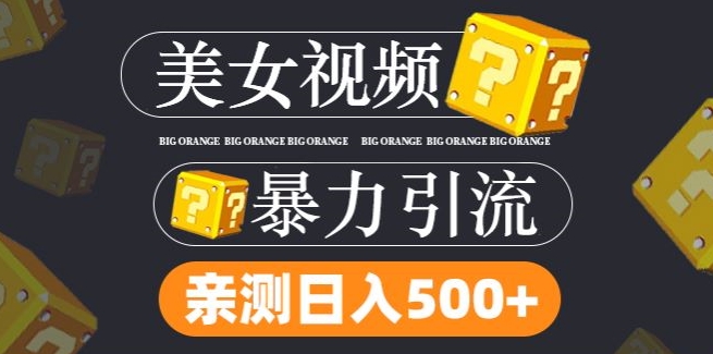 搬运tk美女视频全网分发，日引s粉300+，轻松变现，不限流量不封号-网创资源站