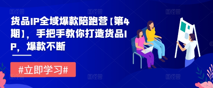 货品IP全域爆款陪跑营【第4期】，手把手教你打造货品IP，爆款不断-网创资源站