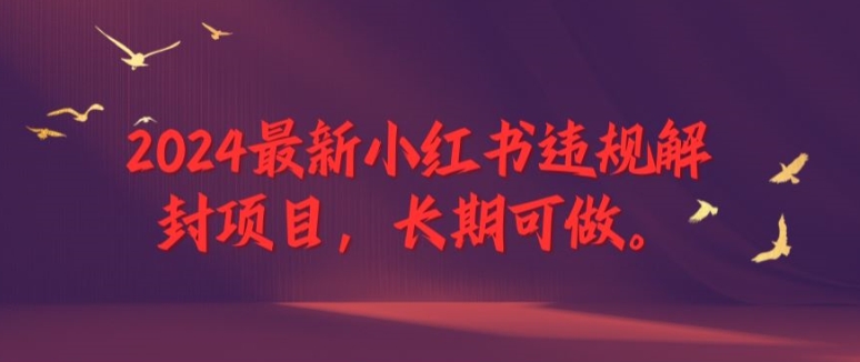 2024最新小红书违规解封项目，长期可做，一个可以做到退休的项目-网创资源站
