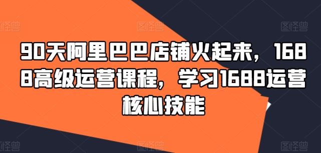 90天阿里巴巴店铺火起来，1688高级运营课程，学习1688运营核心技能-网创资源站