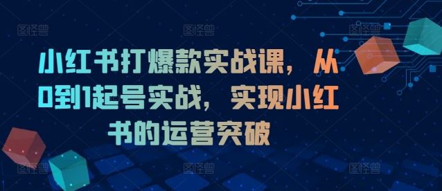 小红书打爆款实战课，从0到1起号实战，实现小红书的运营突破-网创资源站