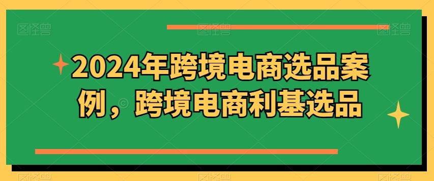 2024年跨境电商选品案例，跨境电商利基选品（更新）-网创资源站