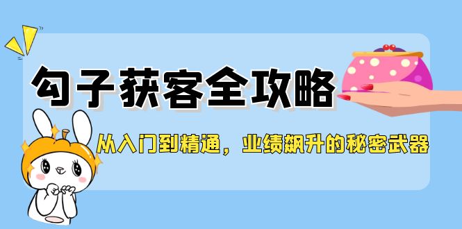（12247期）从入门到精通，勾子获客全攻略，业绩飙升的秘密武器-网创资源站