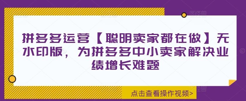 拼多多运营【聪明卖家都在做】无水印版，为拼多多中小卖家解决业绩增长难题-网创资源站