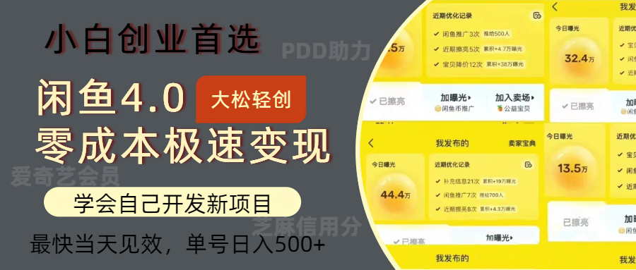 （12434期）闲鱼0成本极速变现项目，多种变现方式 单号日入500+最新玩法-网创资源站