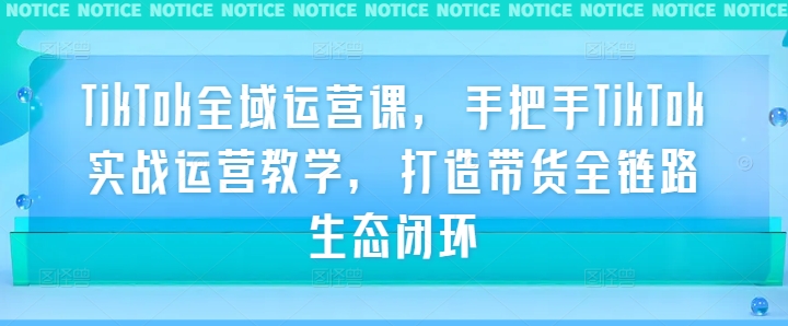 TikTok全域运营课，手把手TikTok实战运营教学，打造带货全链路生态闭环-网创资源站