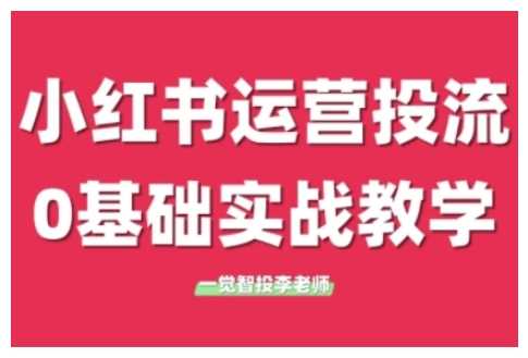 小红书运营投流，小红书广告投放从0到1的实战课，学完即可开始投放-网创资源站