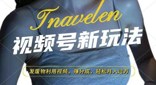 视频号新玩法，废物利用视频，撸分成收益，轻松月入过W【揭秘】-网创资源站