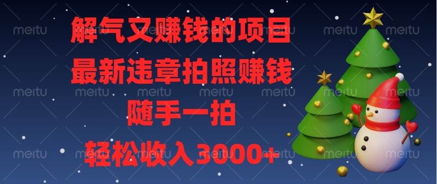 （13686期）解气又赚钱的项目，最新违章拍照赚钱，随手一拍，轻松收入3000+-网创资源站