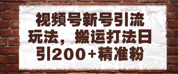 视频号新号引流玩法，搬运打法日引200+精准粉，可矩阵放大【揭秘】-网创资源站