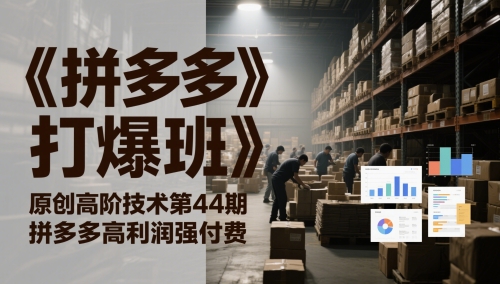 《拼多多打爆班》原创高阶技术第44期，拼多多高利润强付费-网创资源站