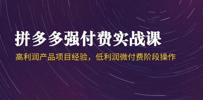 拼多多强付费实战课-44期，高利润产品项目经验，低利润微付费阶段操作-网创资源站