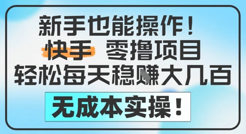 新手也能操作，快手零撸挣米，轻松每天挣2-5张，完全无成本-网创资源站