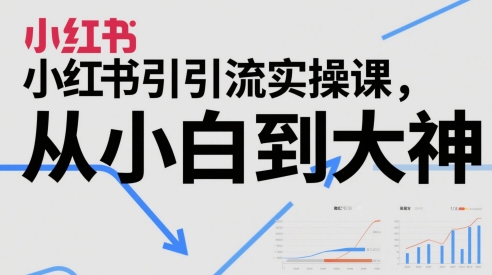 小红书引流实操课，从小白到大神-网创资源站