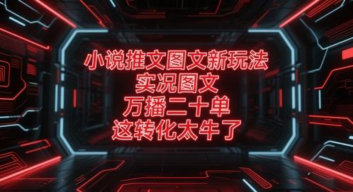 小说推文图文新玩法，实况图文，万播二十单，这转化太牛了！-网创资源站