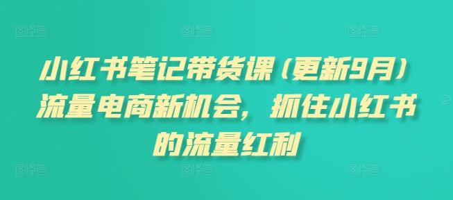 小红书笔记带货课(更新25年5月)流量电商新机会，抓住小红书的流量红利-网创资源站
