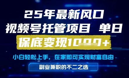 25年最新风口，视频号托管项目，单日保底变现1k+，手把手教学【揭秘】-网创资源站