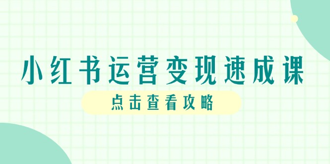 小红书运营变现速成课，账号搭建到暴力起号，个人IP全流程指南-网创资源站