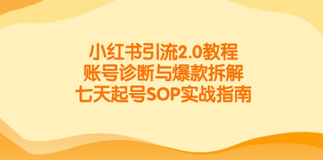 小红书引流2.0教程，账号诊断与爆款拆解，七天起号SOP实战指南-网创资源站