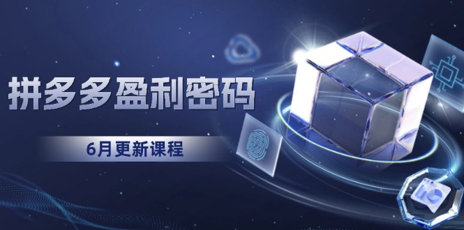 拼多多盈利密码：从烧钱推广到印钞模型，底层逻辑重构指南(6月更新-网创资源站
